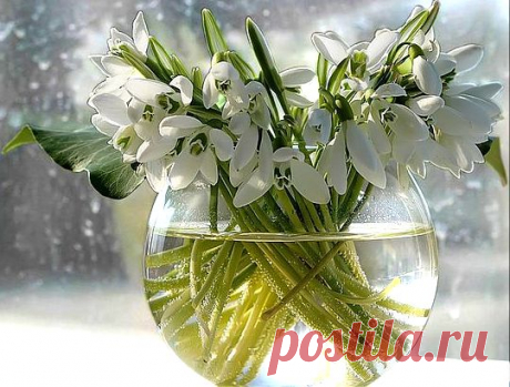 В вазе)
