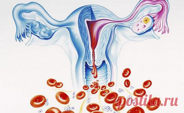 Скудные месячные: причины, что делать при гипоменореи