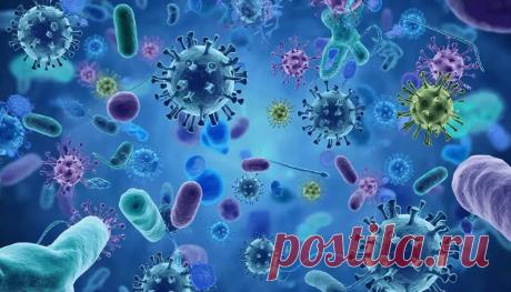 Ого, знакомься с твоими защитниками иммунитета  | PortalBio