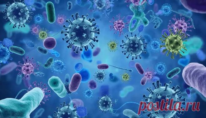 Ого, знакомься с твоими защитниками иммунитета  | PortalBio