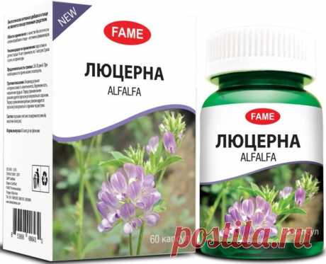Люцерна для печени и ЖКТ,  60 капсул Действие люцерны разнонаправленное, растение издавна применяется как народное средство.
Люцерна является одним из самых богатых по питательной ценности растений на земле. Листья люцерны содержат белки, витамины, минералы, пигменты и фитонутриенты.
Fame Pharmaceuticals специализируется на производстве биологически активных добавок на основе растительного сырья. В продукции полностью отсутствуют искусственные красители и синтетические хим...