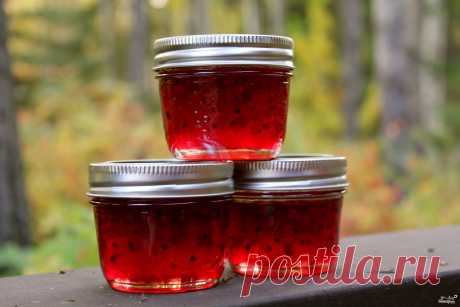Желе из крыжовника с желатином - кулинарный рецепт на Повар.ру