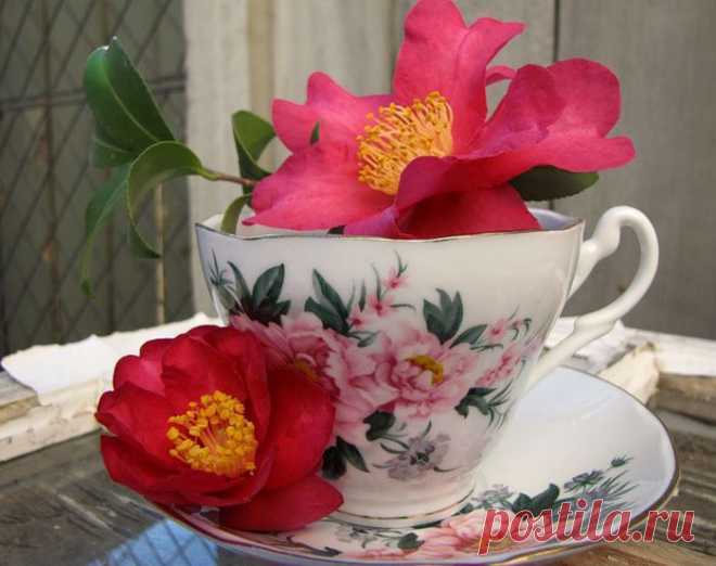 Как почистить сосуды- упражнение для капилляров .