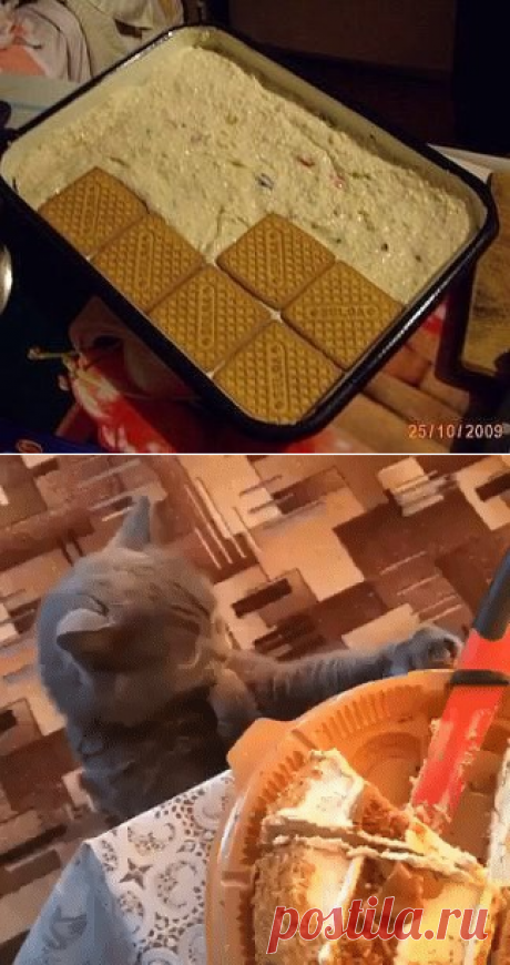 БЫСТРЫЙ ТОРТИК