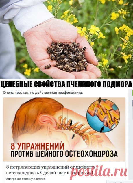 Одноклассники