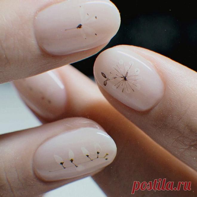 Женщины с хорошим вкусом и чувством стиля выбирают только минимализм: лучшие идеи маникюра 2020-2021 | Olya Cat | Яндекс Дзен