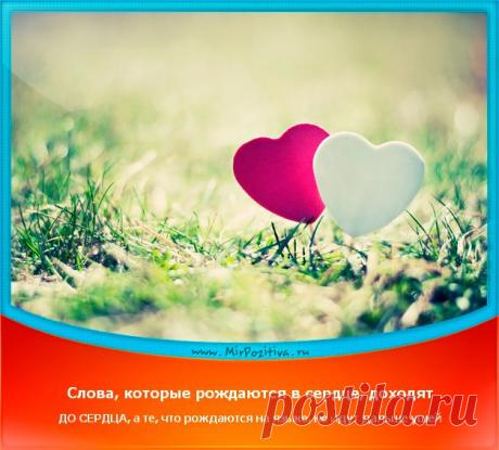 Позитив недели