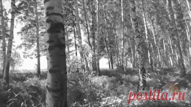 Сборник задушевных советских песен