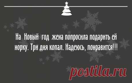 Новогодний юмор ))) | ЖЕНСКИЙ МИР
