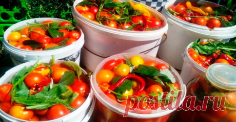 «Помидоры, квашенные с сахаром» по рецепту родственника из Самарканда Вкус у таких помидор отличается от обычного более ярким ароматом и насыщенностью, пикантной остротой. Для приготовления вам потребуются такие ингредиенты: — помидоры, 8 кг; — вода, 5 л; — соль, 350 г; — сахар, 5 ст.л; — перец острый, 2 шт; — чеснок, 10 зубчиков; — хрен корень, 1 шт; — перец сладкий, 1 шт; […]