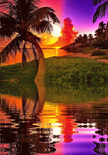 Живые фотографии – Живые картинки – Сообщество – Google+