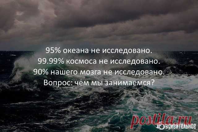 (84) Одноклассники