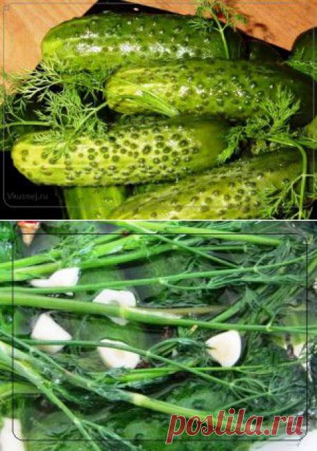 Малосольные огурцы | Рецепты вкусно