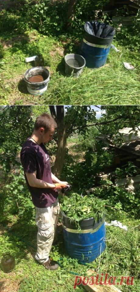 Как мы делали органический прикорм для овощей. ЭМ-мульча / Органическое земледелие, пермакультура / Зеленые решения для всей семьи. Green Life