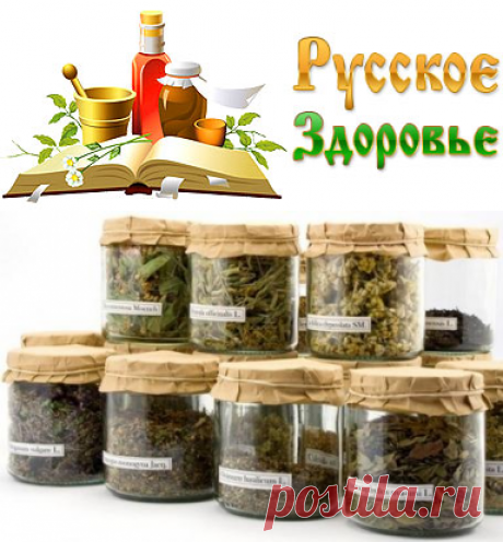 Лечим травками панкреатит