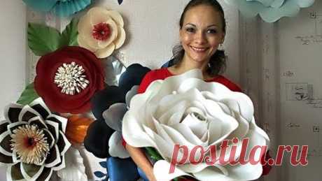 (74) Одноклассники