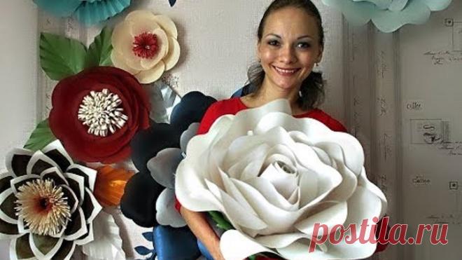 (74) Одноклассники