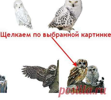 Как просматривать и брать картинки с Яндекс фото в связи с новыми изменениями.