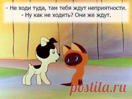 А ВЕДЬ ВЕРНО!!!))))