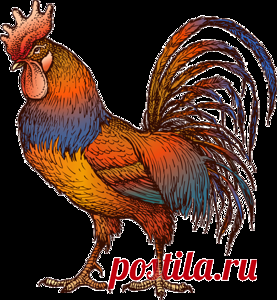 Клипарт 