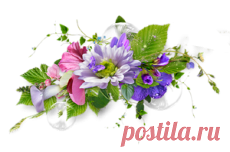 клипарт декор «цветочный» png