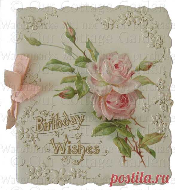 Викторианское поздравление С днем рождения * розовые розы | наш коттеджный сад