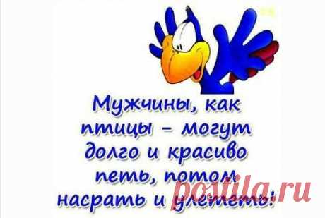 Вот так мужики!?