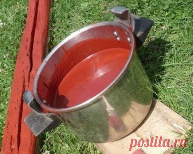 Натуральная краска своими руками / Домоседы