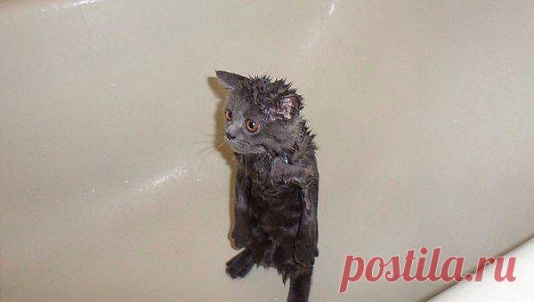 Фрэкен Бок: С возрастом чувственные восприятия любви это дорогое вино, согревающее тебя изнутри с долгим восхитительным послевкусием.