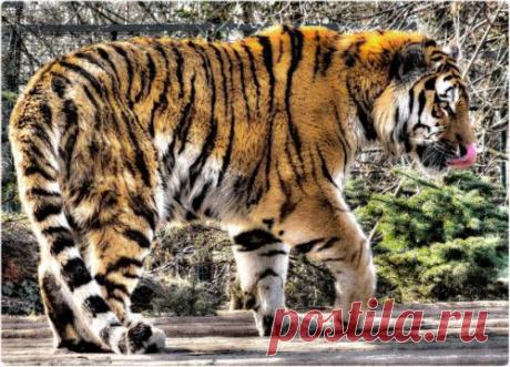 Фотографии Голубая планета - 463 фото в Моем Мире.