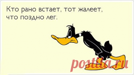 хх
