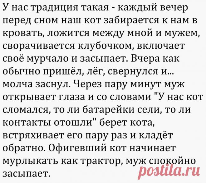 Смешные комментарии и высказывания из социальных сетей | Чёрт побери Очередная подборка смешных высказываний и комментариев из социальных сетей и других частей интернета.