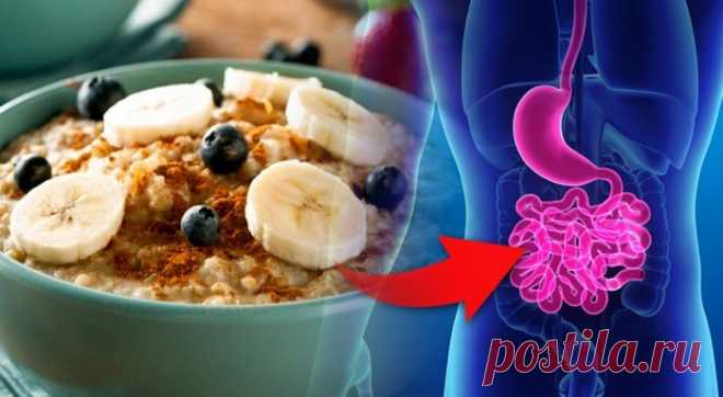 Специальная диета для кишечника наладит работу желудочно-кишечного тракта — Женская страничка