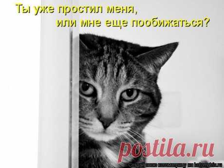 Мысли вслух