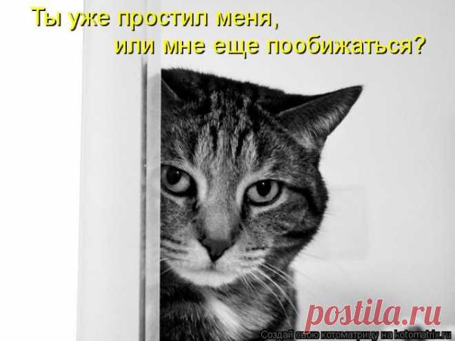 Мысли вслух