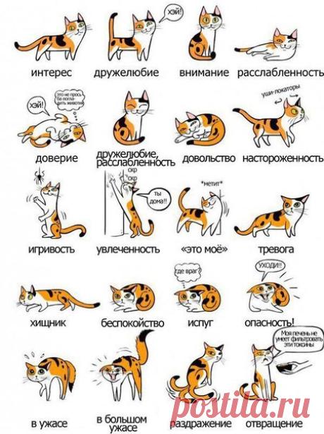 Мой Мир@Mail.Ru