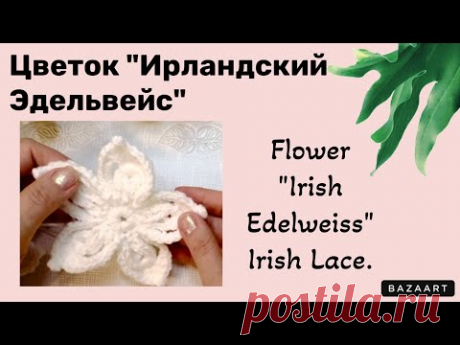 Flower “Irish Edelweiss” // Цветок "Ирландский эдельвейс».