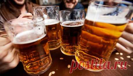 7 классных и недорогих сортов пива