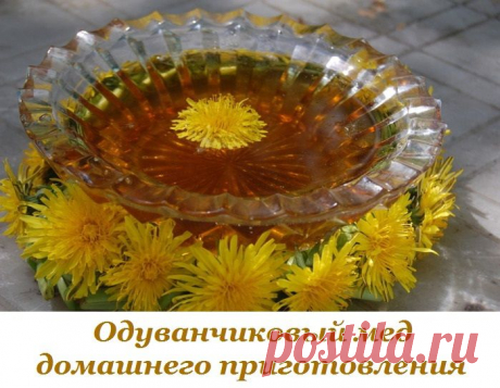 ОДУВАНЧИКОВЫЙ МЁД