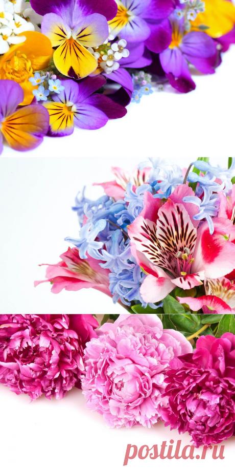 Обои на раб. стол/Цветы..