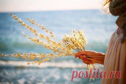 Июль, прекрати думать, что ты сентябрь.