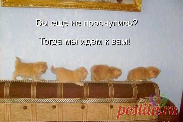 Мой Мир@Mail.Ru