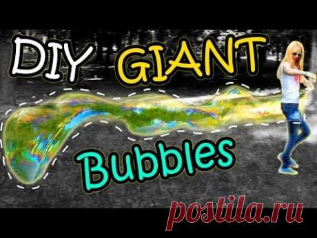 Денежное дерево: лечебные свойства и рецепты | Кудесницам