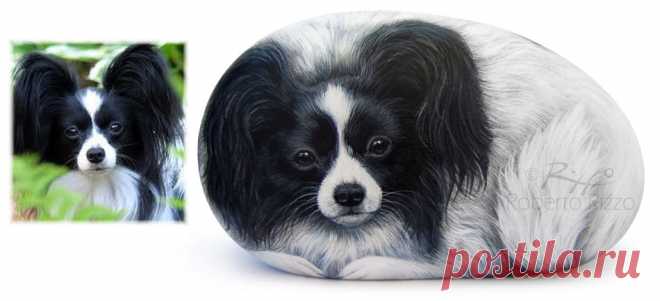 Sassi Dipinti con Cani | Ritratto di Gizmo Un cane Papillon dipinto a mano su sasso di mare | Ritratti di animali su commissione di Roberto Rizzo