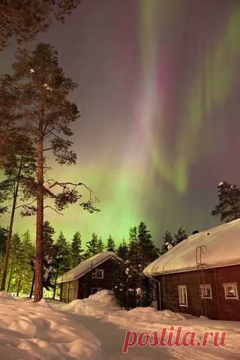 Liudmila PONOMAROVA – Google+