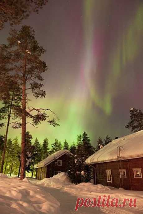 Liudmila PONOMAROVA – Google+