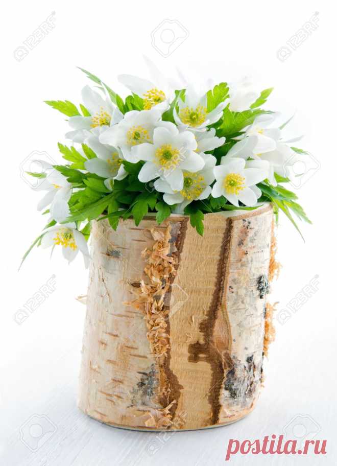 19979193-bouquet-of-white-spring-flowers-wood-anemones-in-a-rustic-wooden-birch-tree-vase-Stock-Photo.jpg (941×1300)