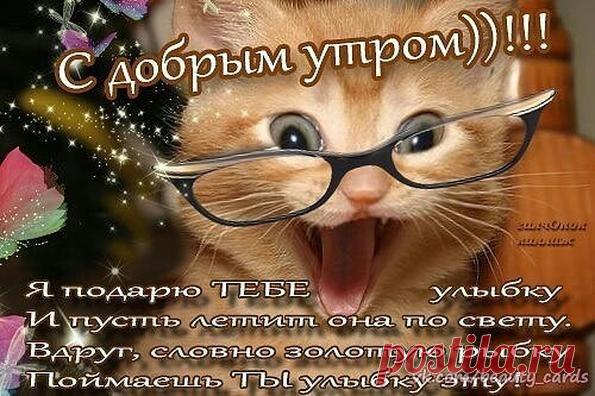 Интересные новости