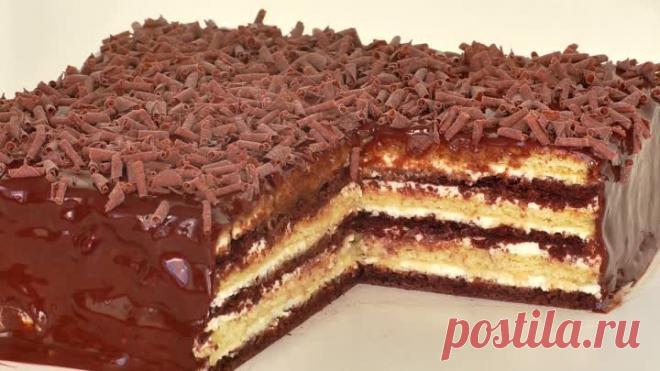 ТОРТ МИШКА НА СЕВЕРЕ | OK.RU