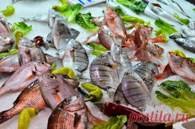 Какая рыба самая полезная для человека: рейтинг 14 сортов